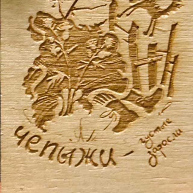 ЧЕпыжи
