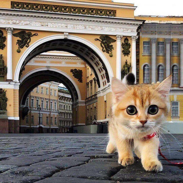 ? Фонтанка СПб