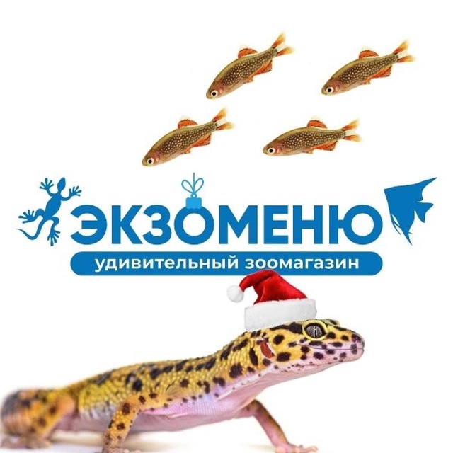 EXOMENU.RU (ЭКЗОМЕНЮ)