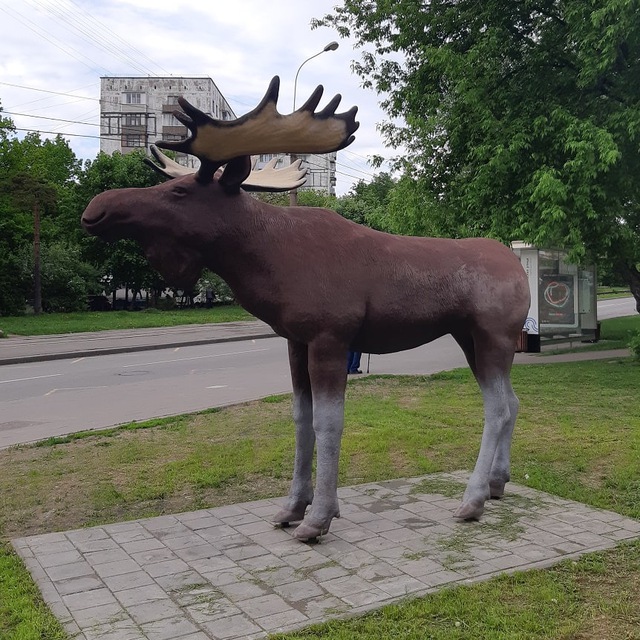 Район Метрогородок