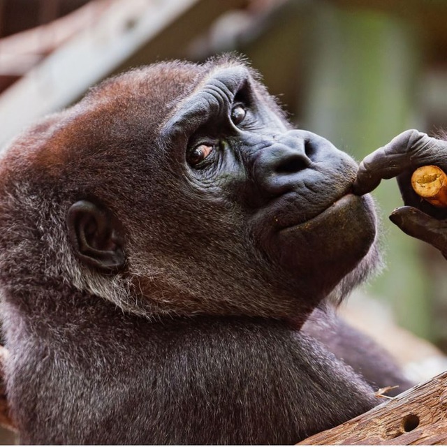 Удивительно-Прикольно