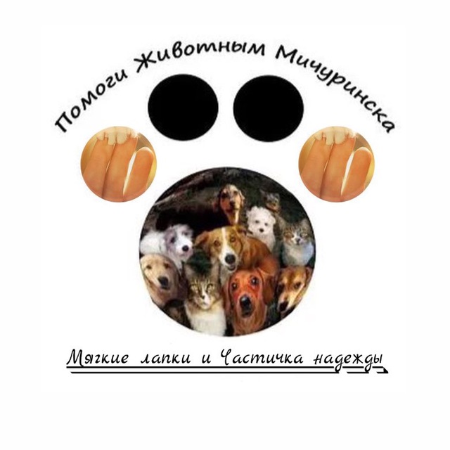 Канал «МЯГКИЕ ЛАПКИ» - «Частичка надежды» Мичуринск