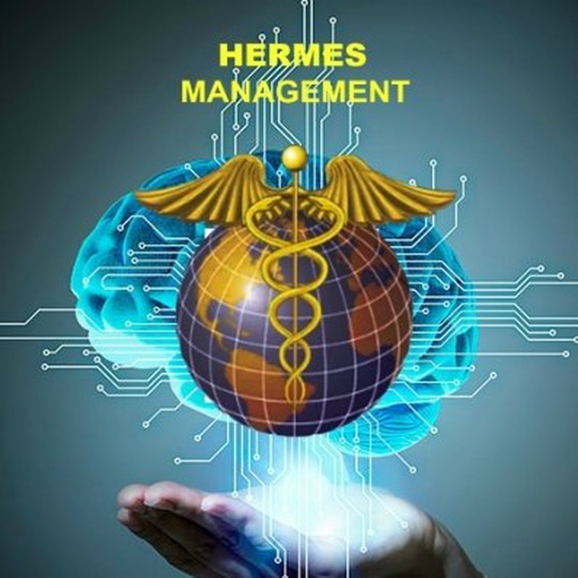 Manager ltd. Гермес менеджмент. Гермес менеджмент Лтд. Гермес инвестиции. Ltd Vista Hermes..