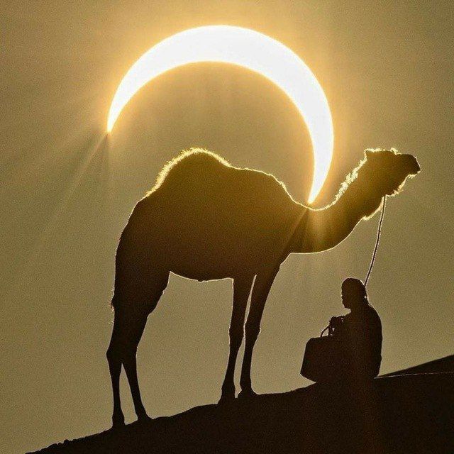 Anvar_Nishonov_official Rasmiy kanal ???