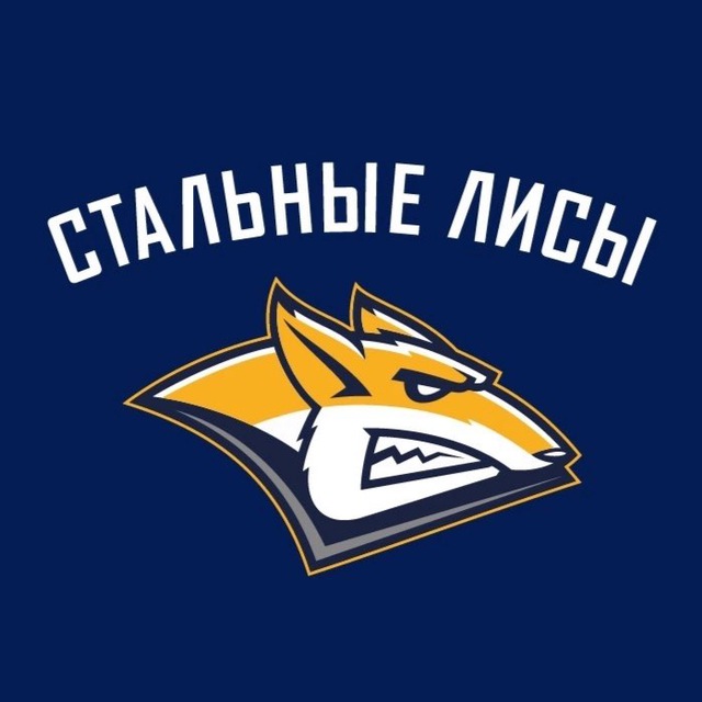 Stalnye Lisy Primary Logo