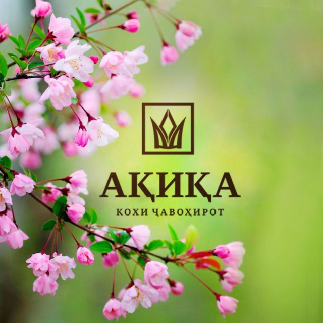Ювелирный дом «Акика» ?