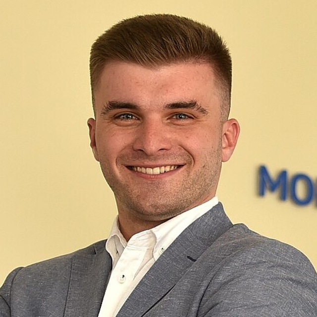 Романов. В деле