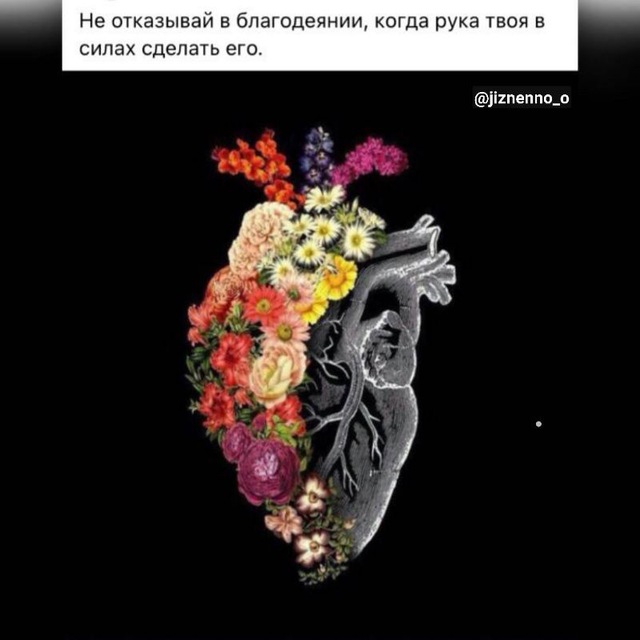 Цитаты из жизни?