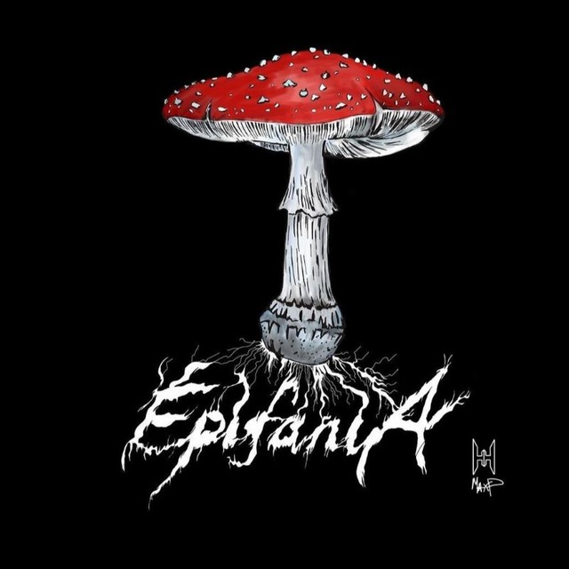 Мысли Владимира Епифанцева