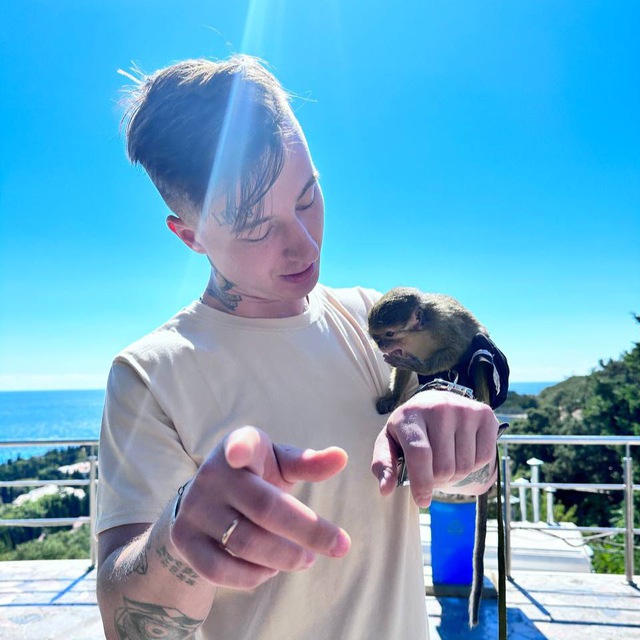 Дневник Равиолли