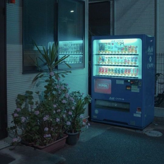 당신은 바보 야