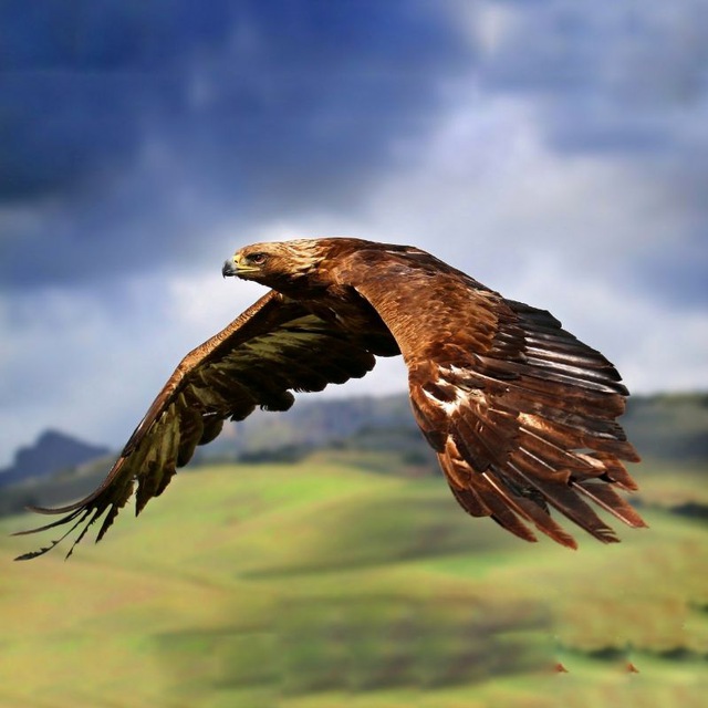 Семейская горница