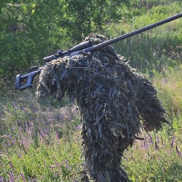 Капитан Zелёный