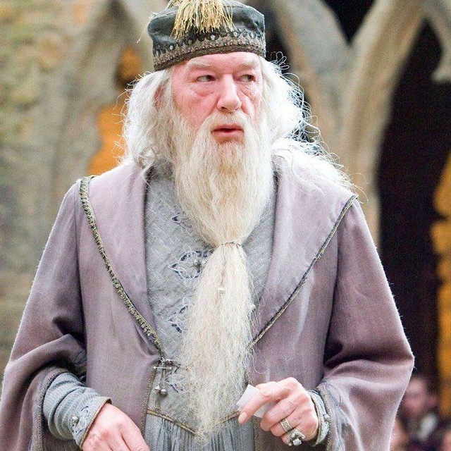 Отряд Дамблдора