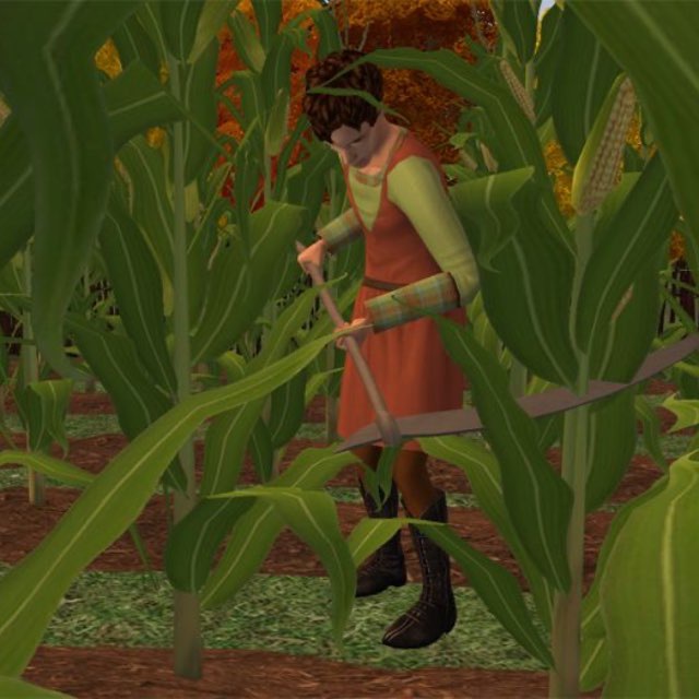 носки, трусы и колготки