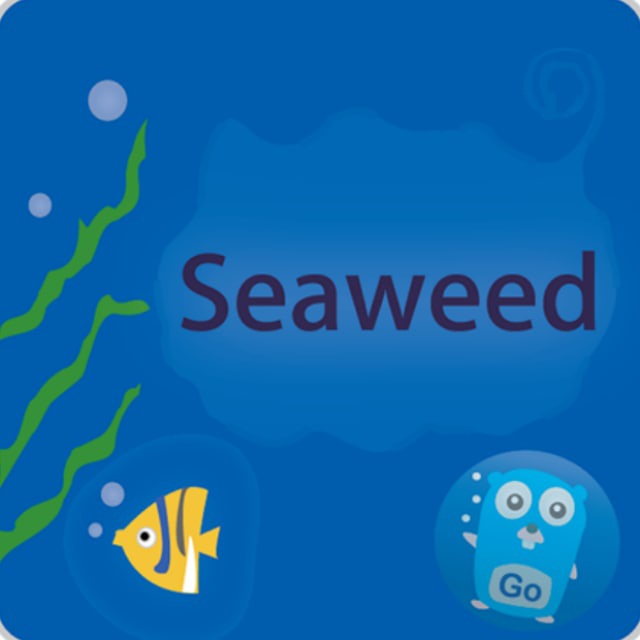 SeaweedFS chat
