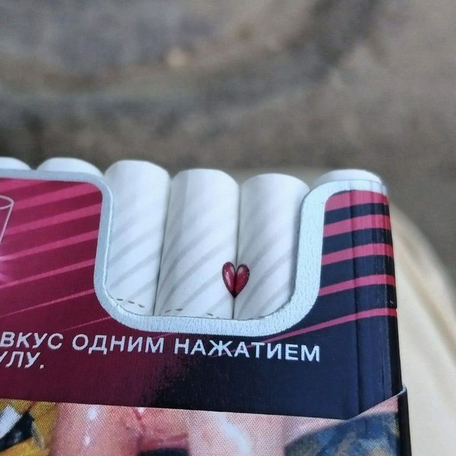 ʜᴀɪᴛᴀɴɪ ʙʀᴏᴛʜᴇʀs | братья хайтани