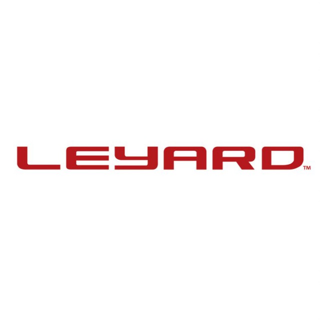 Leyard Group Russia