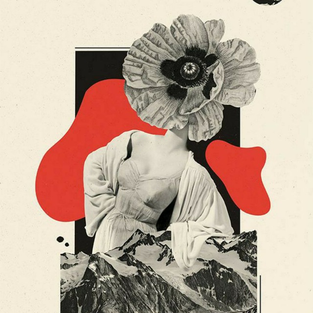 Книжная околица