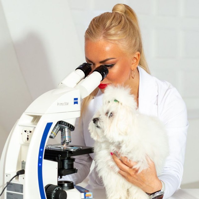 Лабораторная диагностика