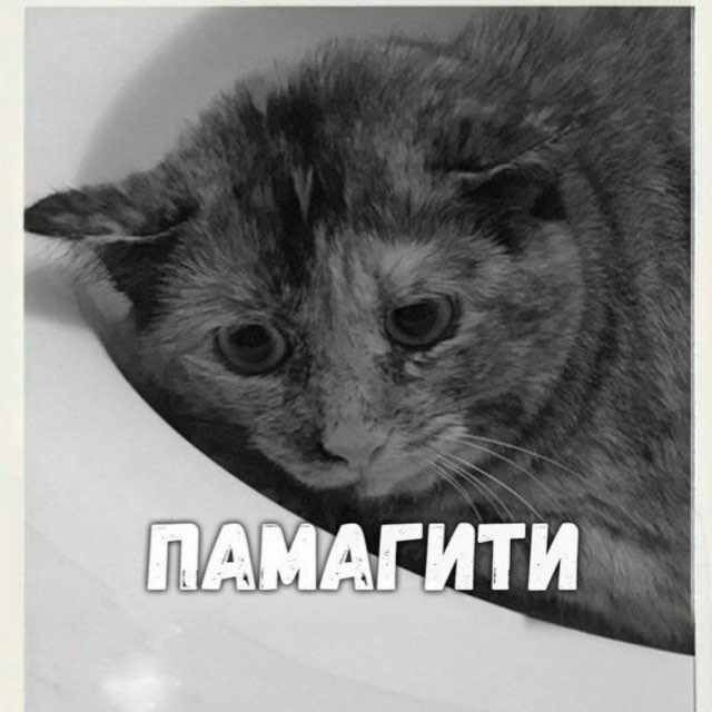 Психология для выживших