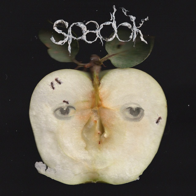 dobbro
