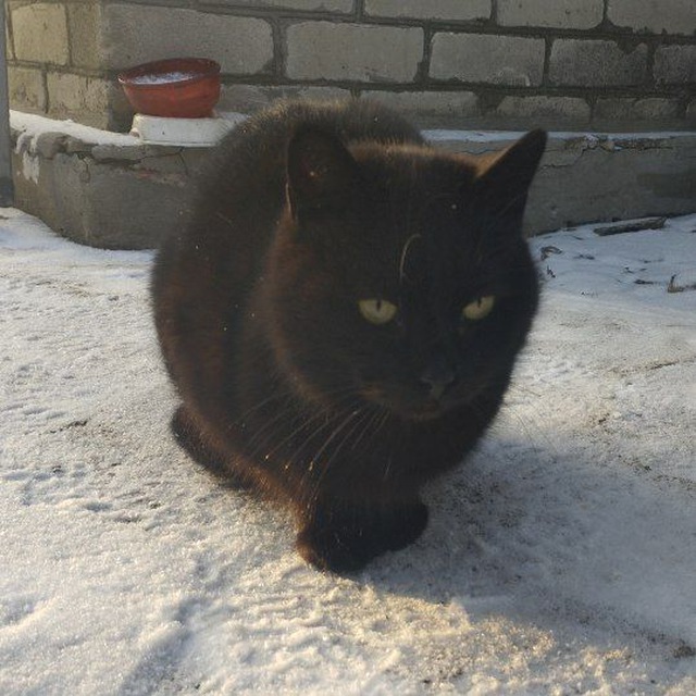 279 студиос канал?