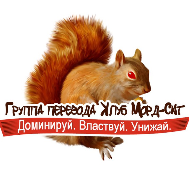 Клуб Морд-Сит