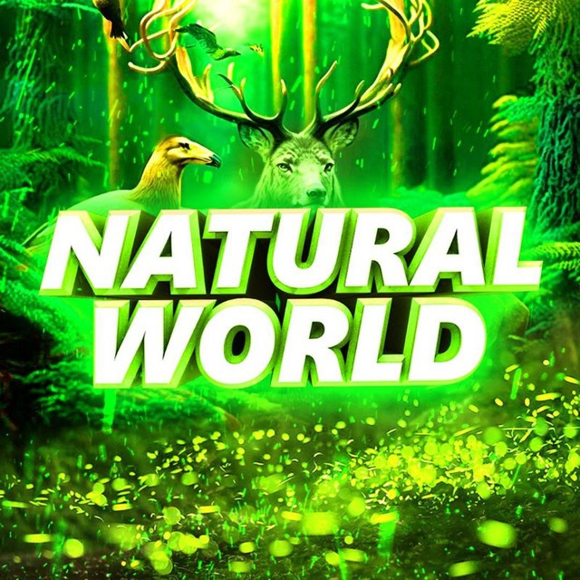 Телеканал viasat nature. Viasat nature hd. Телеканал love nature 4k. Natural channels. Viasat nature логотип.