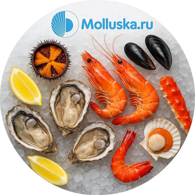 Molluska.ru