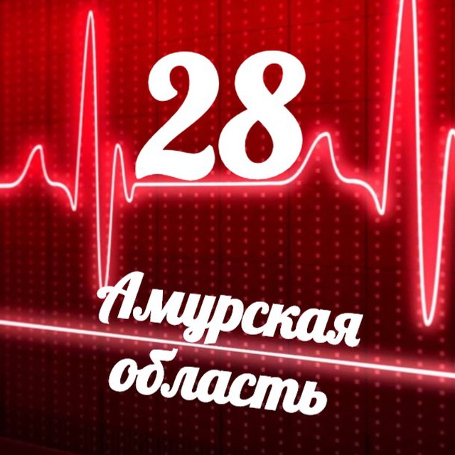 Мониторинг 28 Амурская область