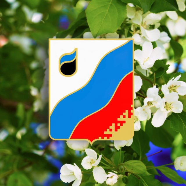 Администрация Губкинского