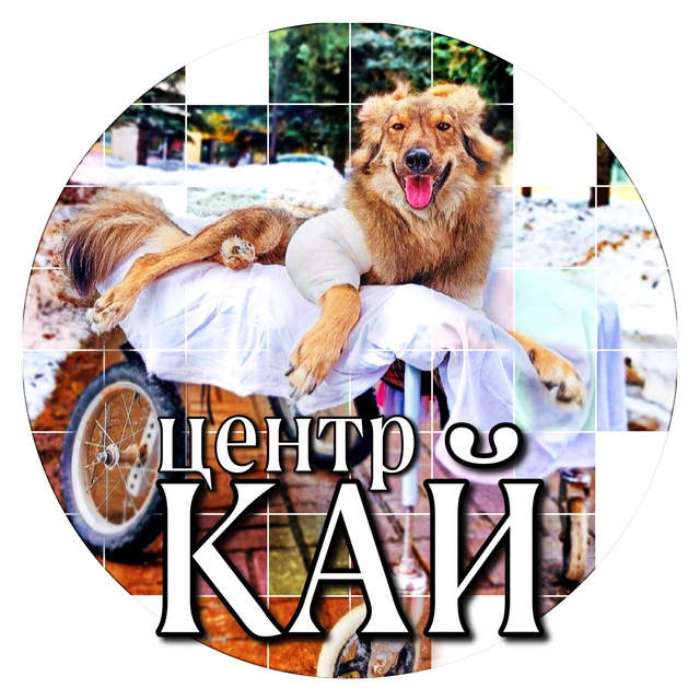 Центр «КАЙ» ??