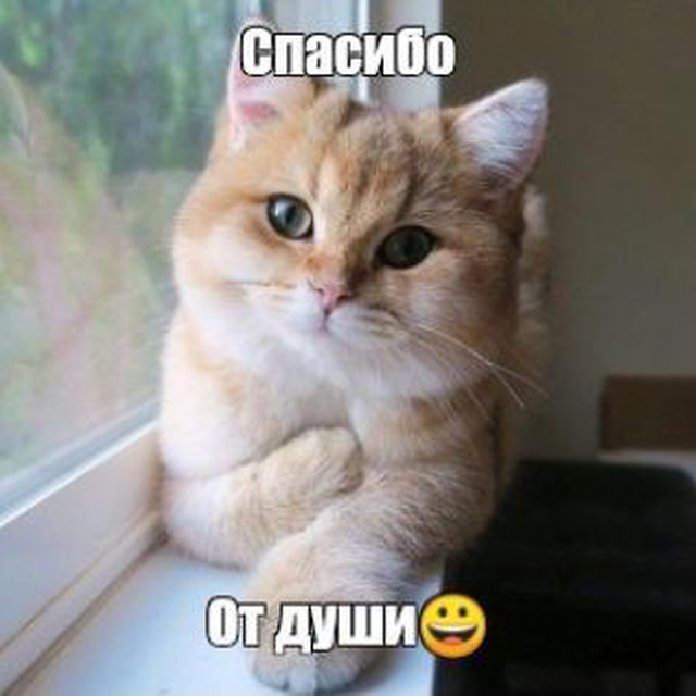 Шебекино вчера, сегодня, завтра