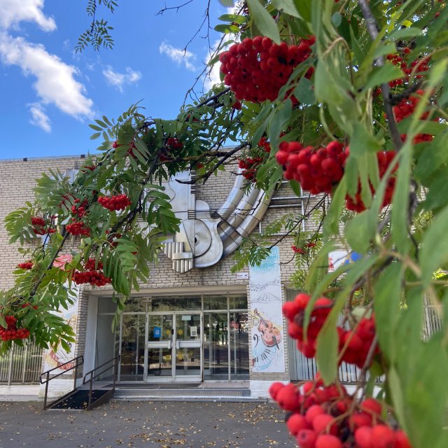 ДМШ ЛЫТКАРИНО