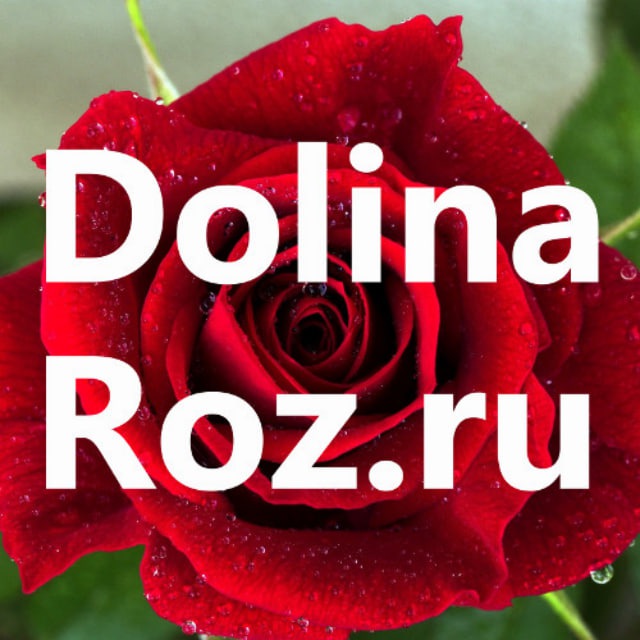 DolinaRoz.ru