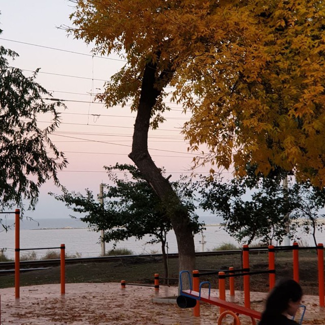 Бумагомарака