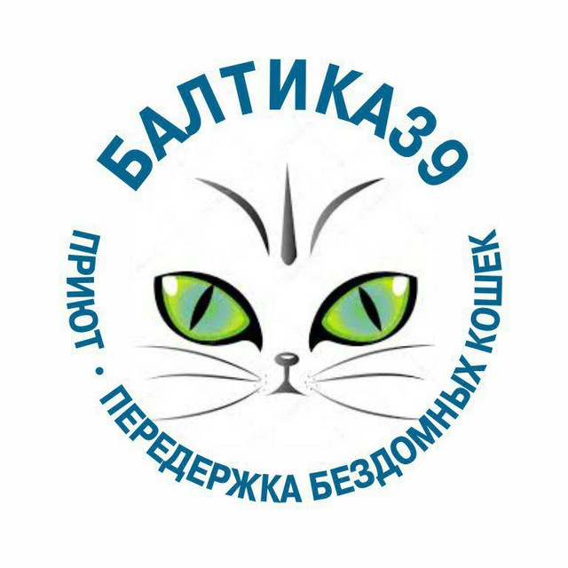 Балтика 39 - помощь бездомным кошкам Калининграда и области