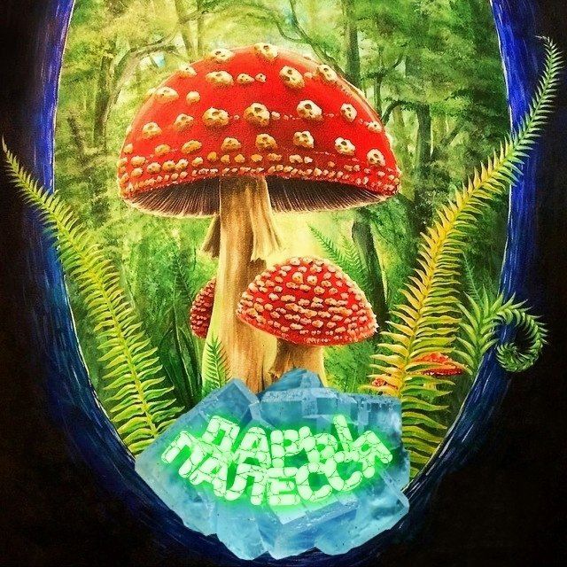 ДАРЫ ПАЛЕССЯ ?МУХОМОРЫ БЕЛАРУСЬ ЕЖОВИК МИКРОДОЗИНГ ?