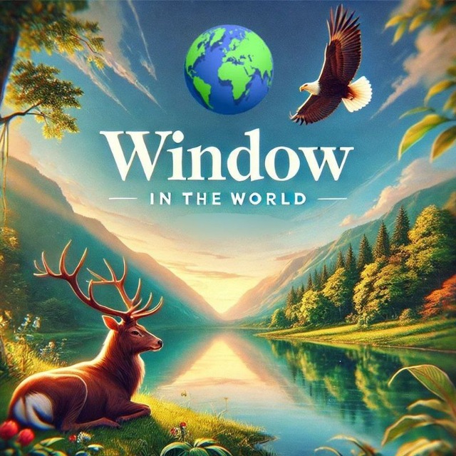 Window in the World ?