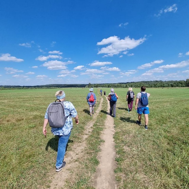 Айда гулять