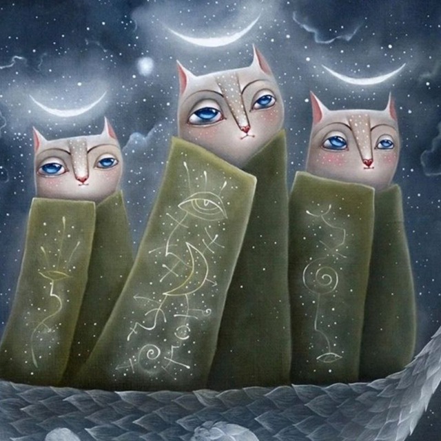Место для крика в кота