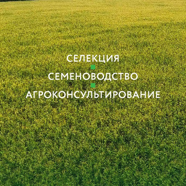 Семеноводство в России ??