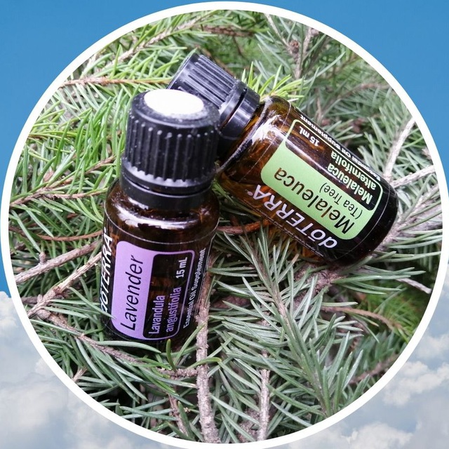 АромаПрактика