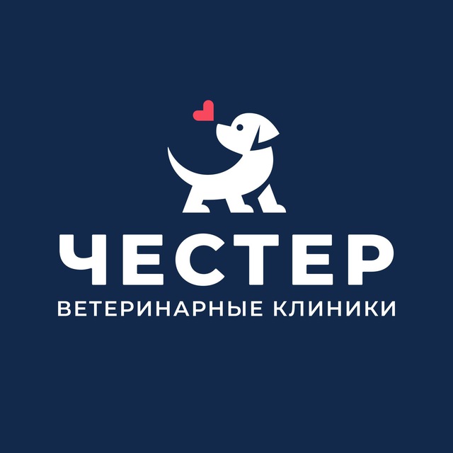 ЧЕСТЕР ветеринарные клиники 24/7 Спб