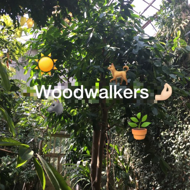?WoodWalkers/Дети леса☀️