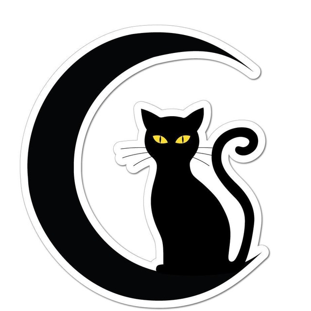 Черный кот