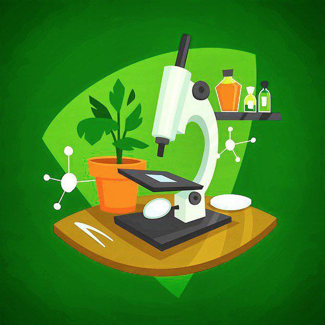 Биобезобразие