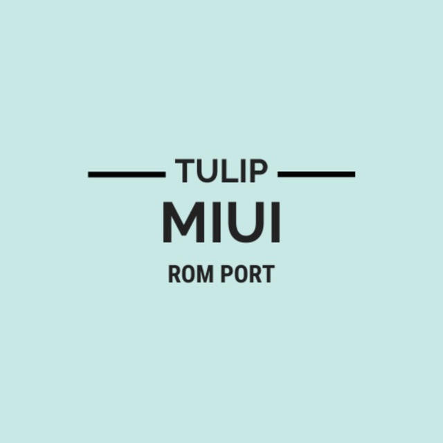 Rom ports