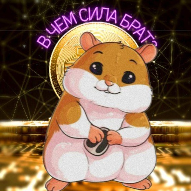 Коды хомяка на сегодня комбо